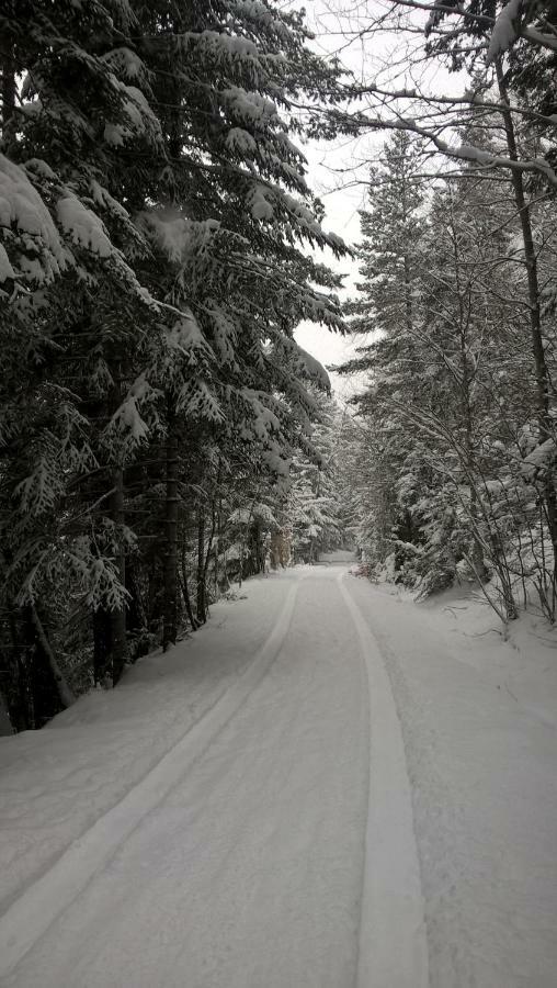 Apartamento De Montana "Nueva Canfranc" エクステリア 写真
